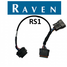 Beacon 4.0 to Raven RS-1
